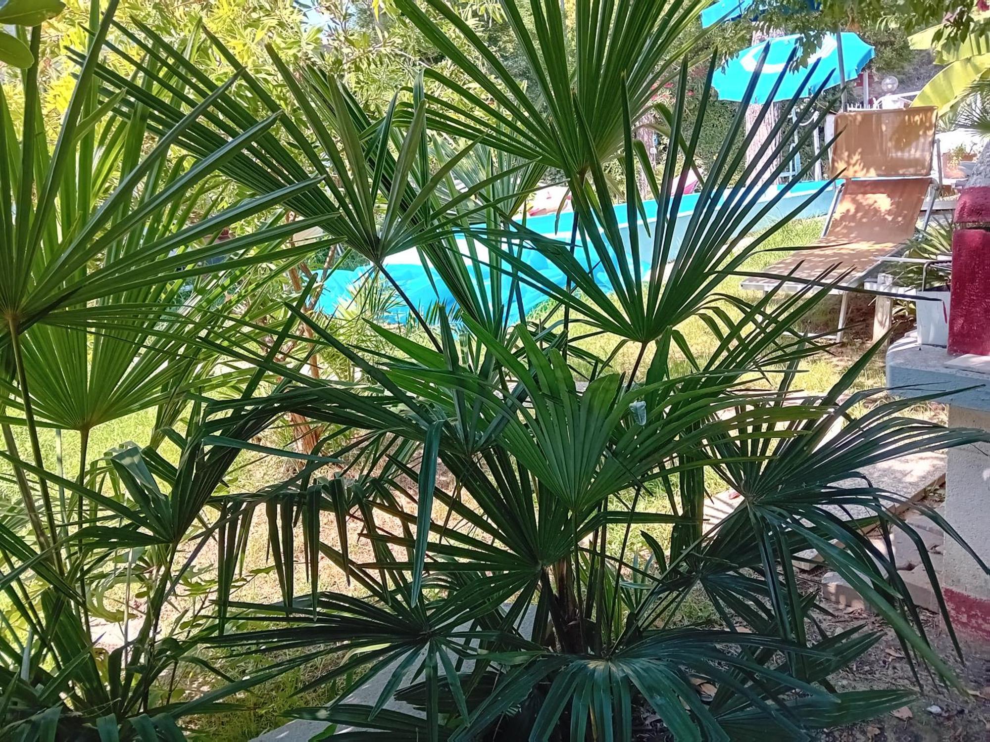Sogno Vacanze Apartman Massa Kültér fotó