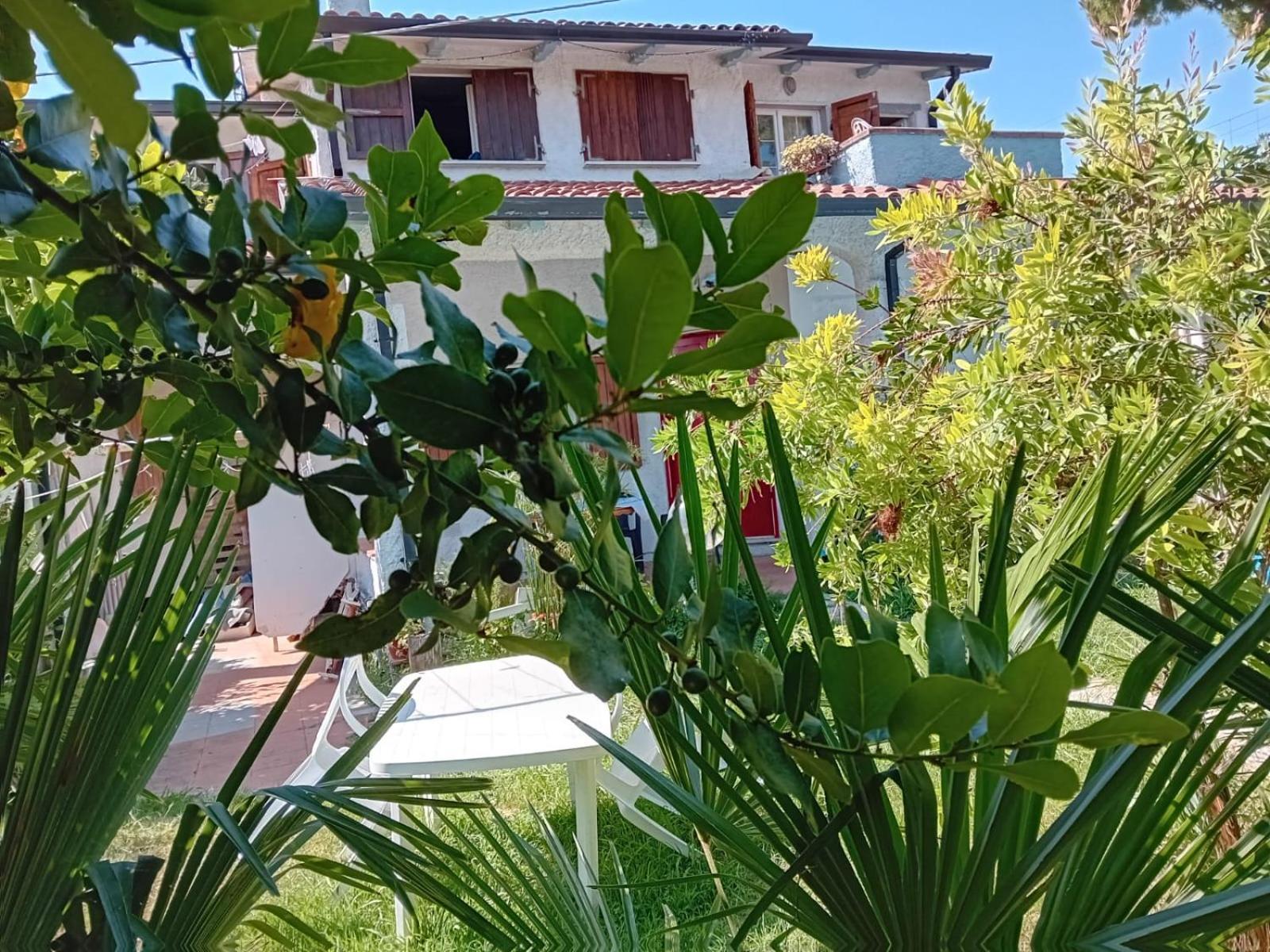 Sogno Vacanze Apartman Massa Kültér fotó