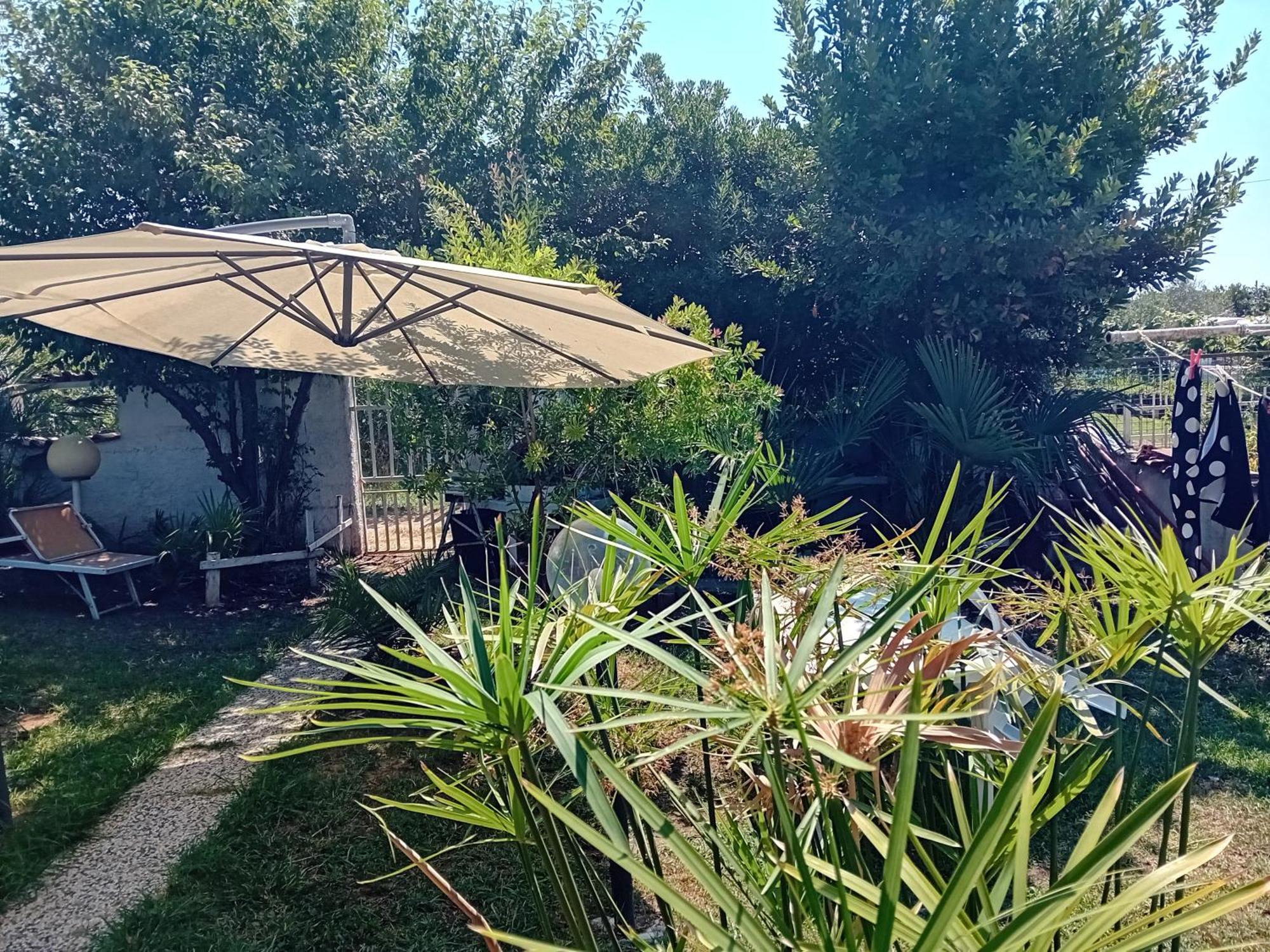 Sogno Vacanze Apartman Massa Kültér fotó